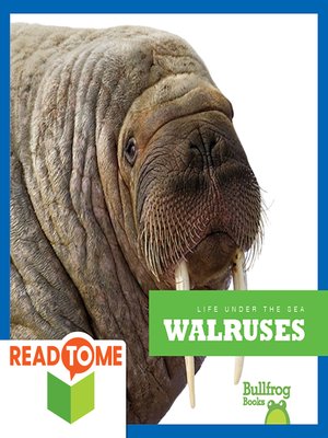 cover image of Walruses